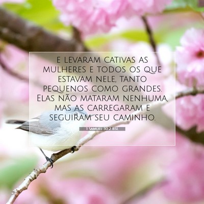 Picture 07 - 1 Samuel 30:2 BSL - e levaram cativas as mulheres e todos os que - Bible Verse Picture