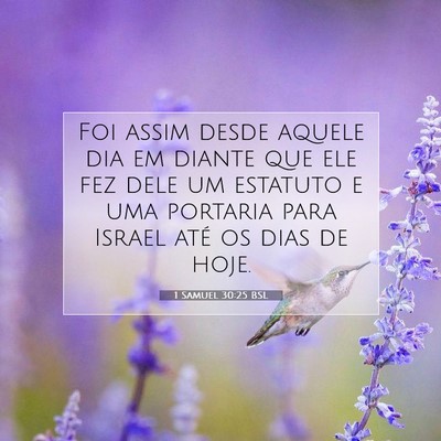 Picture 07 - 1 Samuel 30:25 BSL - Foi assim desde aquele dia em diante que ele fez - Bible Verse Picture