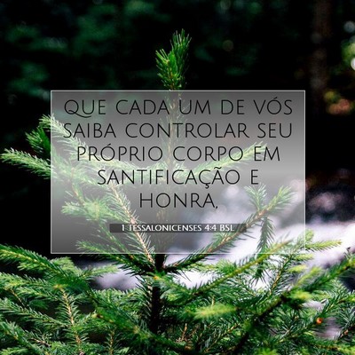 Picture 07 - 1 Tessalonicenses 4:4 BSL - que cada um de vós saiba controlar seu próprio - Bible Verse Picture