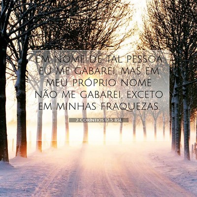 Picture 07 - 2 Coríntios 12:5 BSL - Em nome de tal pessoa eu me gabarei, mas em meu - Bible Verse Picture