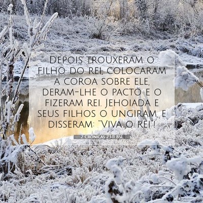 Picture 07 - 2 Crônicas 23:11 BSL - Depois trouxeram o filho do rei, colocaram a - Bible Verse Picture