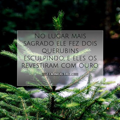 Picture 07 - 2 Crônicas 3:10 BSL - No lugar mais sagrado ele fez dois querubins - Bible Verse Picture