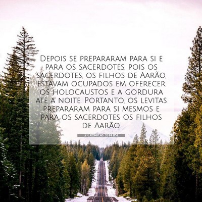 Picture 07 - 2 Crônicas 35:14 BSL - Depois se prepararam para si e para os - Bible Verse Picture