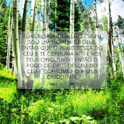 Picture 07 - 2 Reis 1:12 BSL - Elias respondeu-lhes: “Se eu sou um homem de - Bible Verse Picture