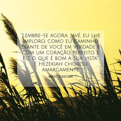 Picture 07 - 2 Reis 20:3 BSL - “Lembre-se agora, Javé, eu lhe imploro, como - Bible Verse Picture