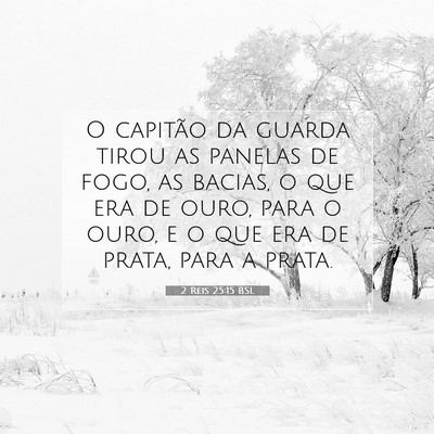 Picture 07 - 2 Reis 25:15 BSL - O capitão da guarda tirou as panelas de fogo, as - Bible Verse Picture