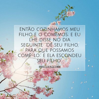 Picture 07 - 2 Reis 6:29 BSL - Então cozinhamos meu filho e o comemos; e eu lhe - Bible Verse Picture