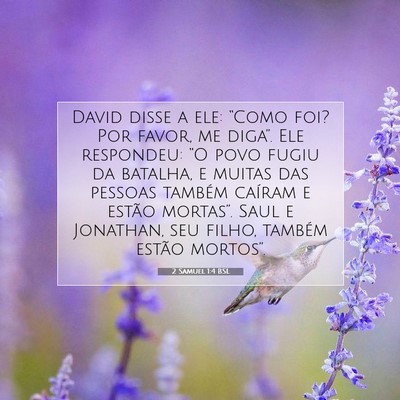 Picture 07 - 2 Samuel 1:4 BSL - David disse a ele: “Como foi? Por favor, me - Bible Verse Picture