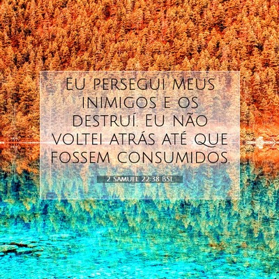 Picture 07 - 2 Samuel 22:38 BSL - Eu persegui meus inimigos e os destruí. Eu não - Bible Verse Picture