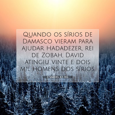 Picture 07 - 2 Samuel 8:5 BSL - Quando os sírios de Damasco vieram para ajudar - Bible Verse Picture