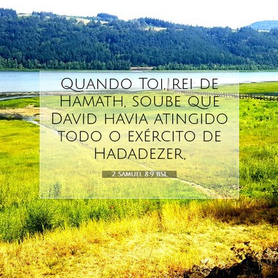 Picture 07 - 2 Samuel 8:9 BSL - Quando Toi, rei de Hamath, soube que David havia - Bible Verse Picture
