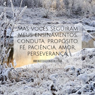 Picture 07 - 2 Timóteo 3:10 BSL - Mas vocês seguiram meus ensinamentos, conduta, - Bible Verse Picture