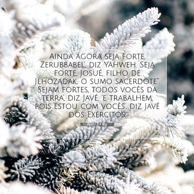 Picture 07 - Ageu 2:4 BSL - Ainda agora seja forte, Zerubbabel', diz Yahweh. - Bible Verse Picture
