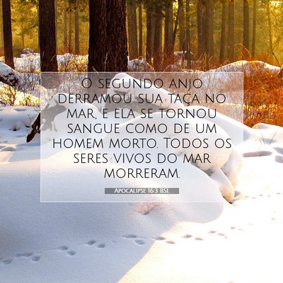 Picture 07 - Apocalipse 16:3 BSL - O segundo anjo derramou sua taça no mar, e ela - Bible Verse Picture