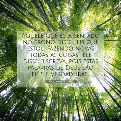 Picture 07 - Apocalipse 21:5 BSL - Aquele que está sentado no trono disse: “Eis - Bible Verse Picture