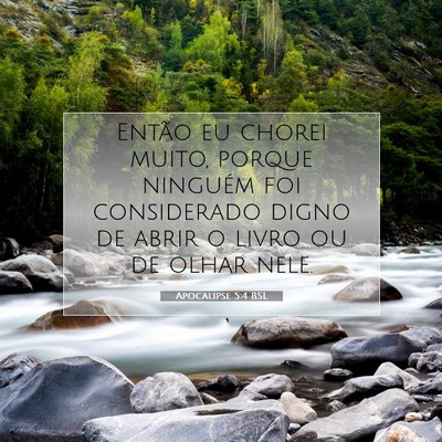 Picture 07 - Apocalipse 5:4 BSL - Então eu chorei muito, porque ninguém foi - Bible Verse Picture