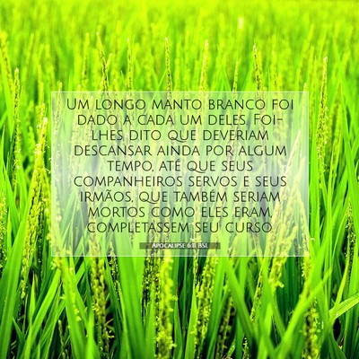 Picture 07 - Apocalipse 6:11 BSL - Um longo manto branco foi dado a cada um deles. - Bible Verse Picture