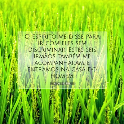 Picture 07 - Atos 11:12 BSL - O Espírito me disse para ir com eles sem - Bible Verse Picture