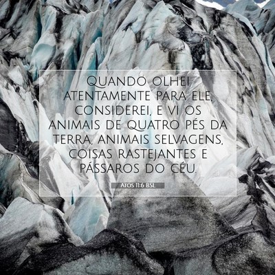 Picture 07 - Atos 11:6 BSL - Quando olhei atentamente para ele, considerei, e - Bible Verse Picture