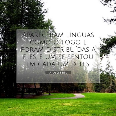 Picture 07 - Atos 2:3 BSL - Apareceram línguas como o fogo e foram - Bible Verse Picture