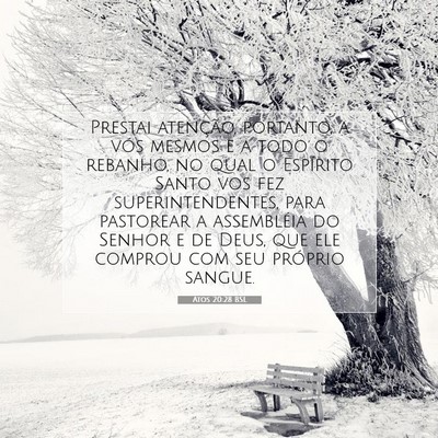 Picture 07 - Atos 20:28 BSL - Prestai atenção, portanto, a vós mesmos e a - Bible Verse Picture