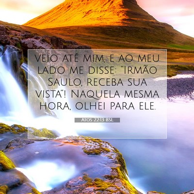 Picture 07 - Atos 22:13 BSL - veio até mim, e ao meu lado me disse: “Irmão - Bible Verse Picture