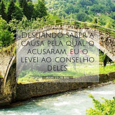 Picture 07 - Atos 23:28 BSL - Desejando saber a causa pela qual o acusaram, eu - Bible Verse Picture