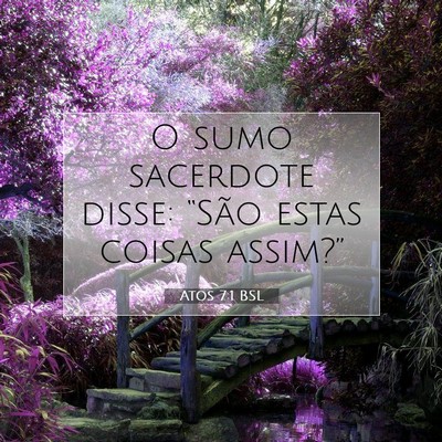Picture 07 - Atos 7:1 BSL - O sumo sacerdote disse: “São estas coisas - Bible Verse Picture
