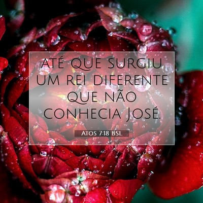 Picture 07 - Atos 7:18 BSL - até que surgiu um rei diferente que não - Bible Verse Picture