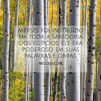 Picture 07 - Atos 7:22 BSL - Moisés foi instruído em toda a sabedoria dos - Bible Verse Picture