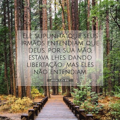 Picture 07 - Atos 7:25 BSL - Ele supunha que seus irmãos entendiam que Deus, - Bible Verse Picture