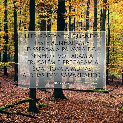 Picture 07 - Atos 8:25 BSL - Eles, portanto, quando testemunharam e disseram a - Bible Verse Picture