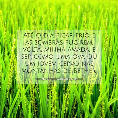 Picture 07 - Canção de Salomão 2:17 BSL - Até o dia ficar frio e as sombras fugirem, - Bible Verse Picture