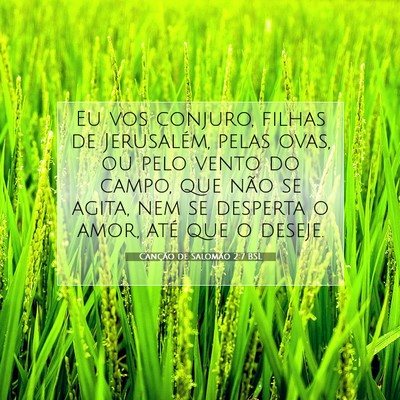 Picture 07 - Canção de Salomão 2:7 BSL - Eu vos conjuro, filhas de Jerusalém, pelas ovas, - Bible Verse Picture
