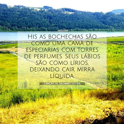Picture 07 - Canção de Salomão 5:13 BSL - His as bochechas são como uma cama de - Bible Verse Picture