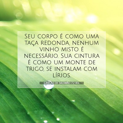 Picture 07 - Canção de Salomão 7:2 BSL - Seu corpo é como uma taça redonda, nenhum vinho - Bible Verse Picture
