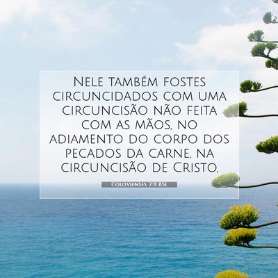 Picture 07 - Colossenses 2:11 BSL - Nele também fostes circuncidados com uma - Bible Verse Picture