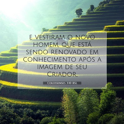 Picture 07 - Colossenses 3:10 BSL - e vestiram o novo homem, que está sendo renovado - Bible Verse Picture