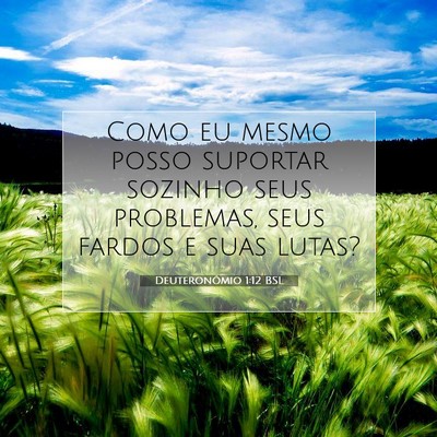 Picture 07 - Deuteronômio 1:12 BSL - Como eu mesmo posso suportar sozinho seus - Bible Verse Picture