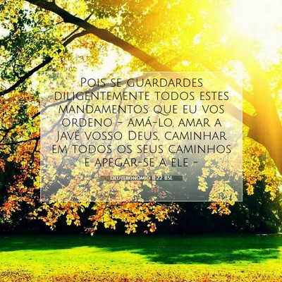 Picture 07 - Deuteronômio 11:22 BSL - Pois se guardardes diligentemente todos estes - Bible Verse Picture