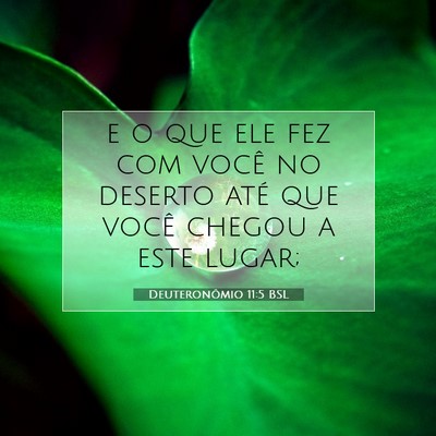Picture 07 - Deuteronômio 11:5 BSL - e o que ele fez com você no deserto até que - Bible Verse Picture