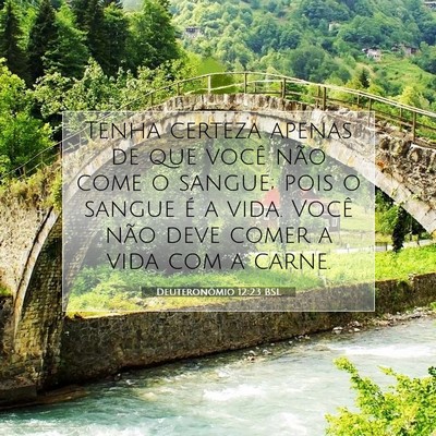 Picture 07 - Deuteronômio 12:23 BSL - Tenha certeza apenas de que você não come o - Bible Verse Picture