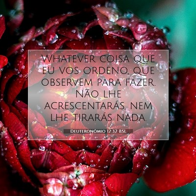 Picture 07 - Deuteronômio 12:32 BSL - Whatever coisa que eu vos ordeno, que observem - Bible Verse Picture
