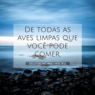 Picture 07 - Deuteronômio 14:11 BSL - De todas as aves limpas que você pode - Bible Verse Picture