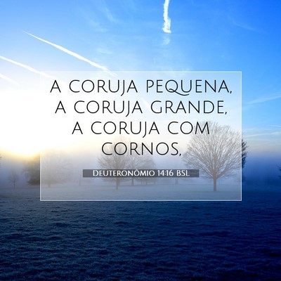 Picture 07 - Deuteronômio 14:16 BSL - a coruja pequena, a coruja grande, a coruja com - Bible Verse Picture