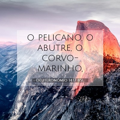 Picture 07 - Deuteronômio 14:17 BSL - o pelicano, o abutre, o - Bible Verse Picture
