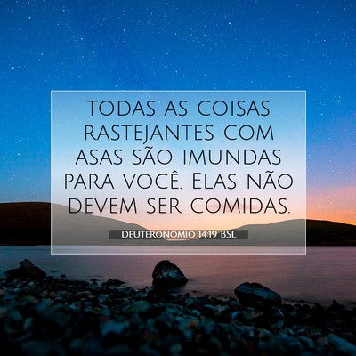 Picture 07 - Deuteronômio 14:19 BSL - todas as coisas rastejantes com asas são imundas - Bible Verse Picture