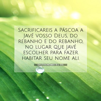 Picture 07 - Deuteronômio 16:2 BSL - Sacrificareis a Páscoa a Javé vosso Deus, do - Bible Verse Picture