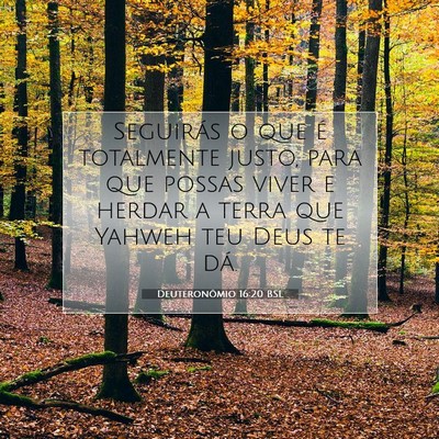 Picture 07 - Deuteronômio 16:20 BSL - Seguirás o que é totalmente justo, para que - Bible Verse Picture
