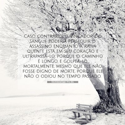 Picture 07 - Deuteronômio 19:6 BSL - Caso contrário, o vingador do sangue poderia - Bible Verse Picture